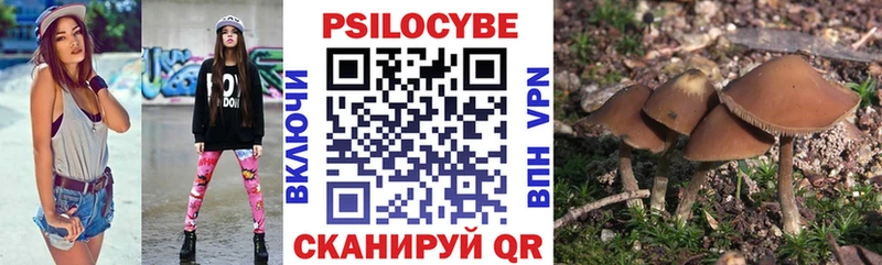 сколько стоит  Дербент  Псилоцибиновые грибы ЛСД 